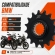 Pinhão X7 16 Dentes BMW F800 GS 2012 a 2018 Passe 525
