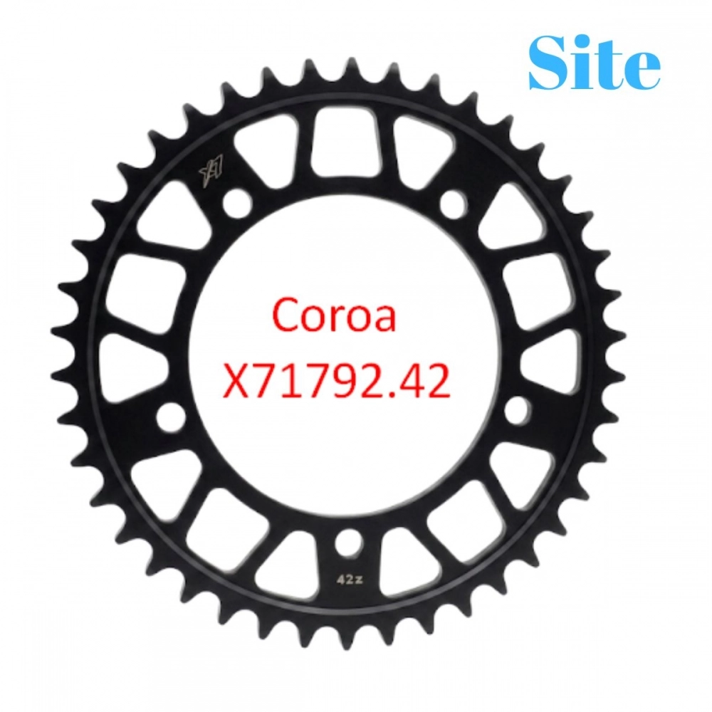 Pinhão X7 Racing 17 Dentes Passe 525H Para Suzuki DL 1000 GSXR 750